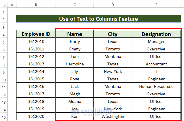 Converted Text with Multiple Spaces to Columns in Excel 