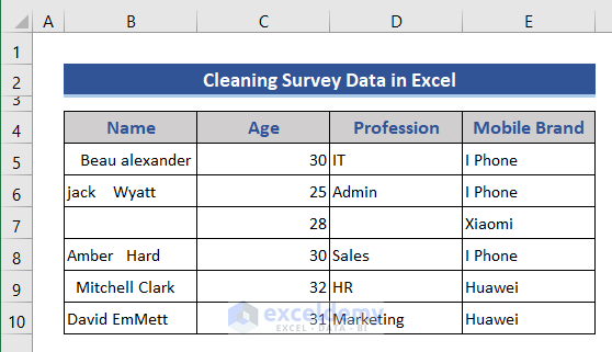 Collected survey data transferred to Excel