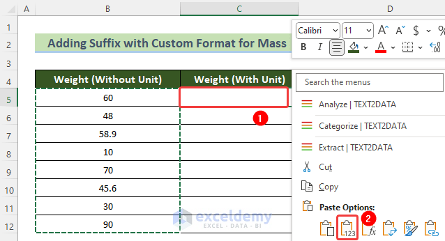 Paste Values in Formatted Cells