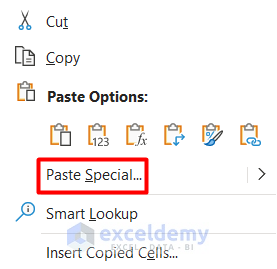 Use Paste Special Feature to Remove Hyperlink in Excel