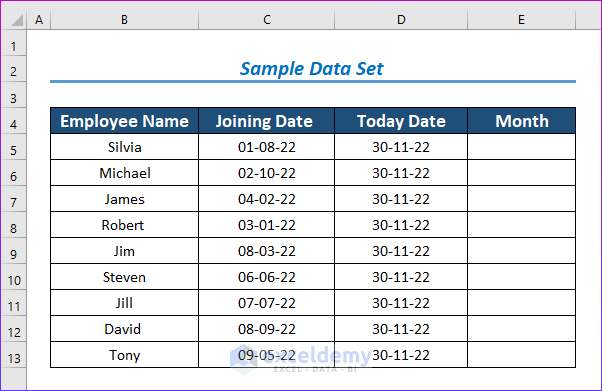 Count Months from Date to Today by Using Excel Formula