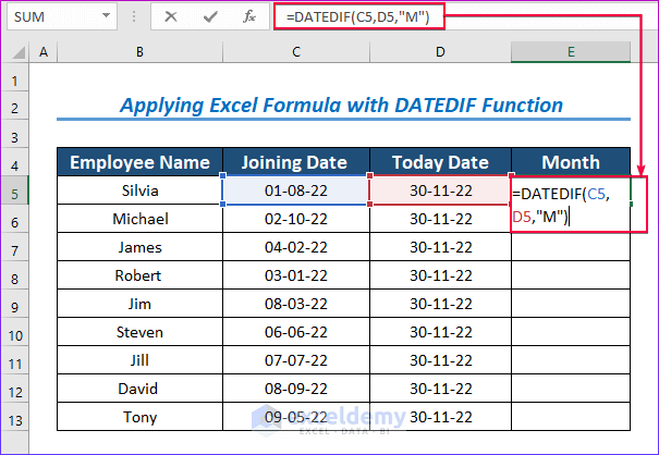 Applying Excel Formula with DATEDIF Function to Count Number of Months from Date to Today