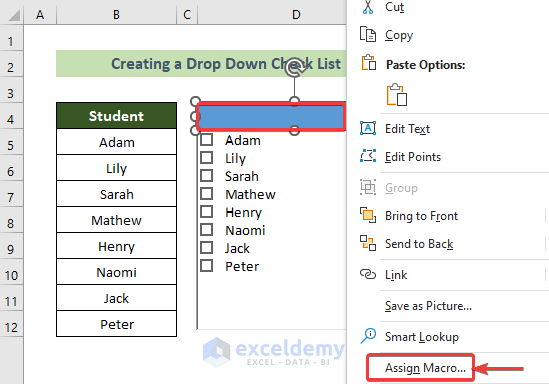 Choose the Assign Macro Option