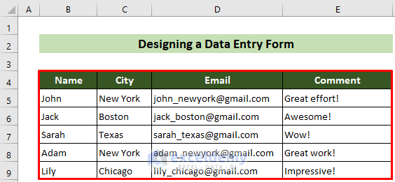 Designed Data Entry Form in Excel