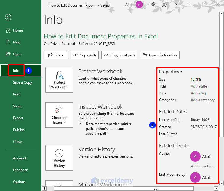 View document properties in Excel