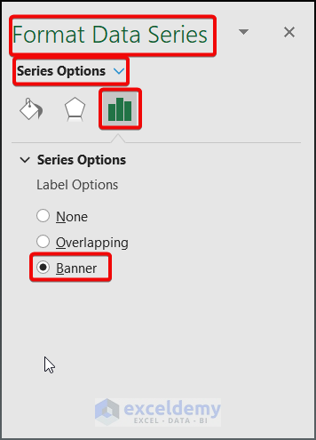 Format the Data Label Options