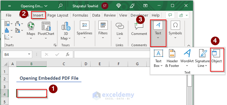 how to open embedded file in excel