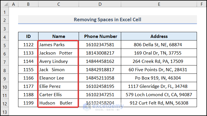 VBA Trim function removing spaces from Excel Cell