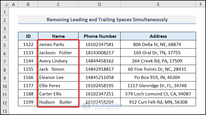 Removing Leading and Trailing Spaces Simultaneously using VBA Trim function