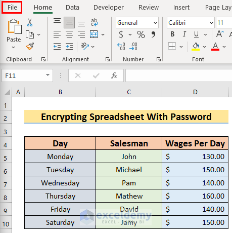 Selecting File Option to Encrypt Excel File With Password