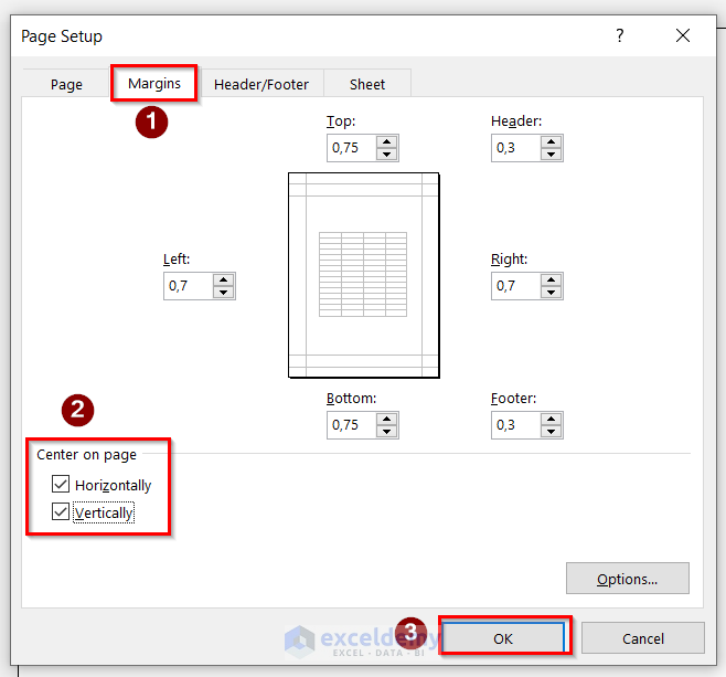 Using Page Setup Dialog box to Fix Excel Margins Not Printing Correctly