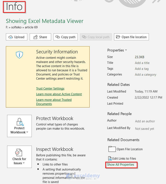 Using info Tab to Show Excel Metadata Viewer