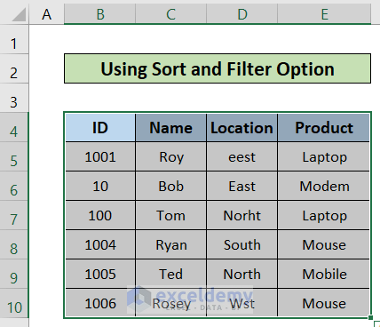 Check for Data Entry Errors in Excel by Using Sort and Filter Option