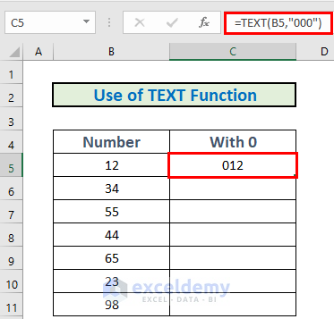 TEXT Function prefix 0 in excel