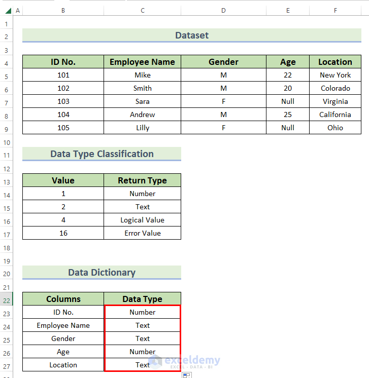 Determining Data Type for Data Dictionary in Excel
