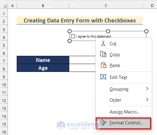 Create Link to Cell to Create an Excel Data Entry Form that Includes Checkboxes