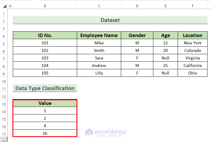 Formatting Data Type Classification Table for Data Dictionary in Excel
