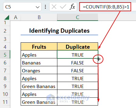 Using a Logical Formula with COUNTIF to Identify Duplicates in One Column