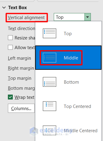 Edit Text Box Using Format Shape Panel in Excel