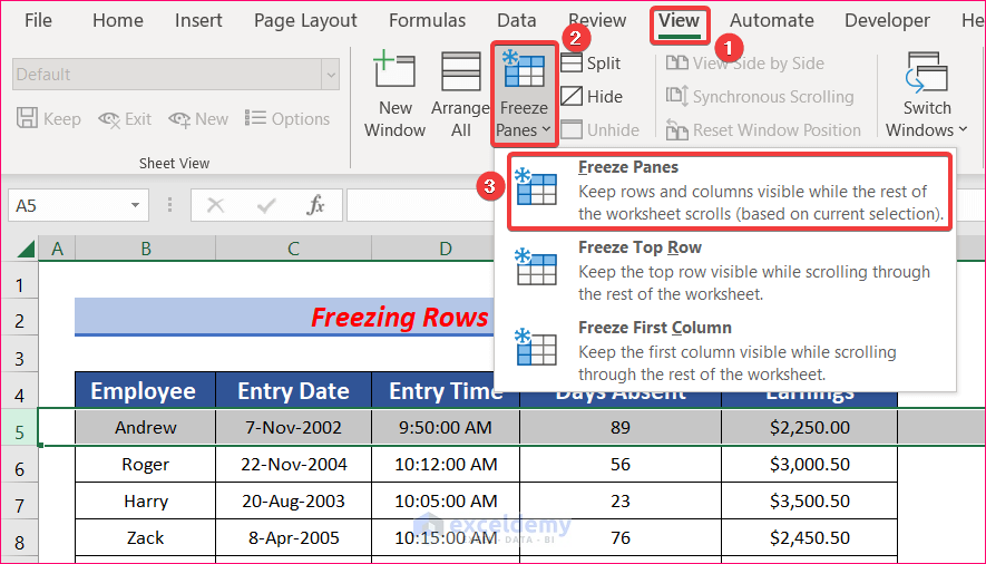 Freeze Rows and Columns to Navigate Large Excel Spreadsheets