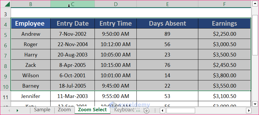 HZoom to Selected Rows and Columns to Navigate Large Excel Spreadsheets