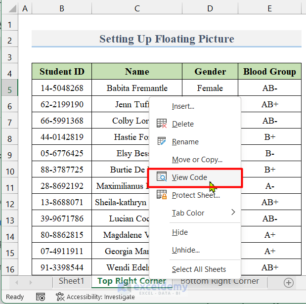 excel floating picture