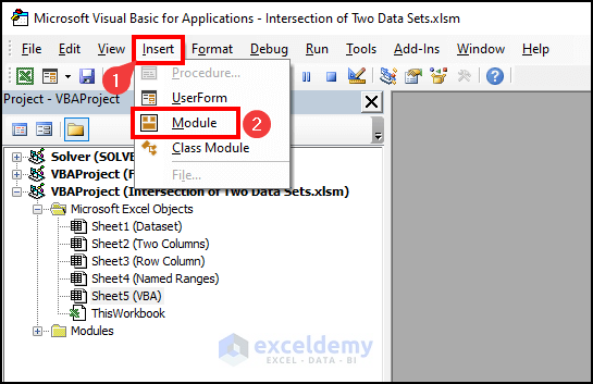 Inserting module in Excel