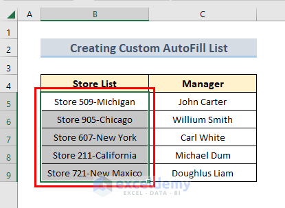 create a custom autofill list 