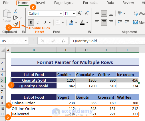 Copying the Formatting Using the Format Painter