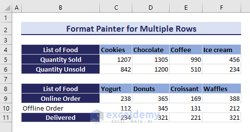 Copied the Formatting Using the Format Painter