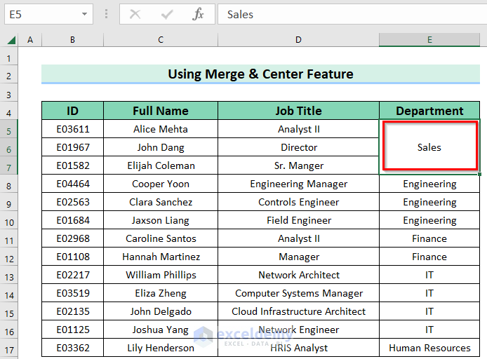 Output for Using Merge & Center Feature