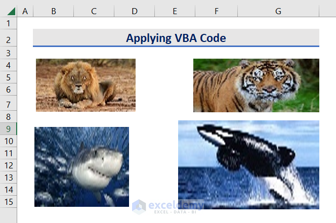 Insert Pictures by Applying the VBA Code
