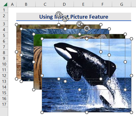 Insert Multiple Pictures in Excel at Once in The Worksheet