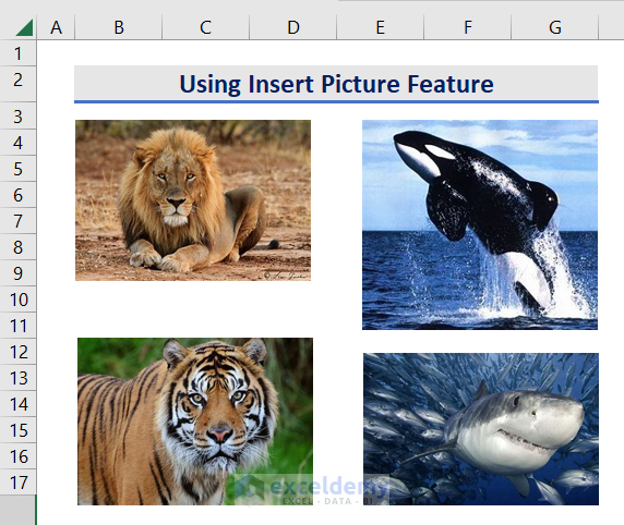Insert Multiple Pictures in Excel at Once Using Insert Picture Feature