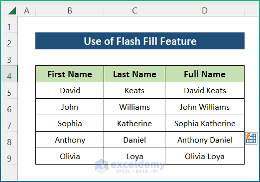 use of flash fill feature in excel