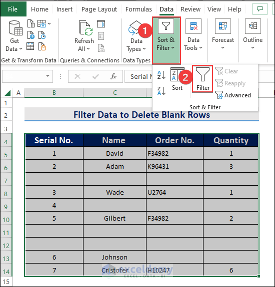 Deleting Blank Rows by Filtering