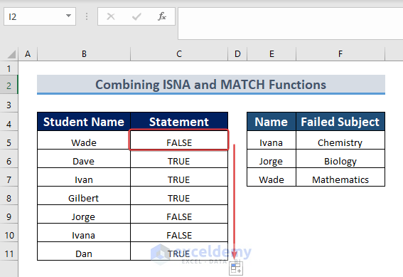 Applying AutoFill Tool to Fill the Blank Cells 