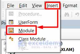 Choosing Module in the Visual Basic Editor