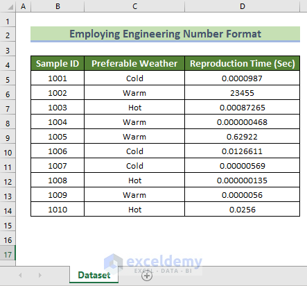 Dataset for employing excel engineering number format