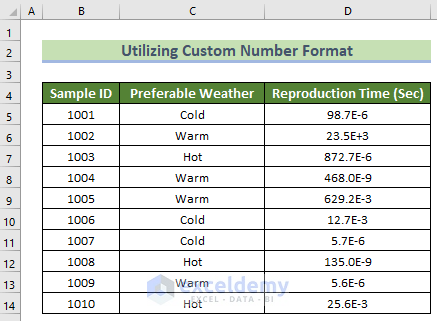 Output of Custom Number Format