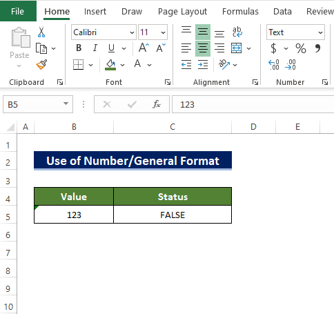 converting the text format in cell B5 to number solve isnumber function not working issue