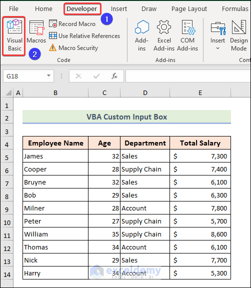 Visiting the Visual Basic option from the Developer tab to create vba custom input box