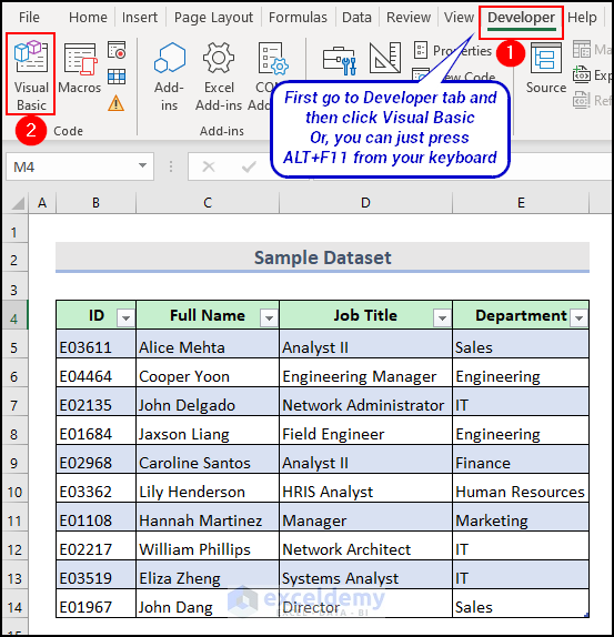 opening visual basic in Excel Developer tab
