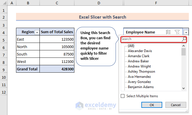 Overview of excel slicer with search