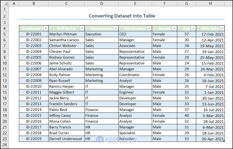 dataset converted into a table