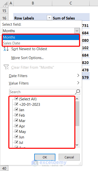 Viewing the months' option filtering the date