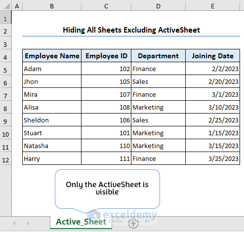 Only ActiveSheet visible