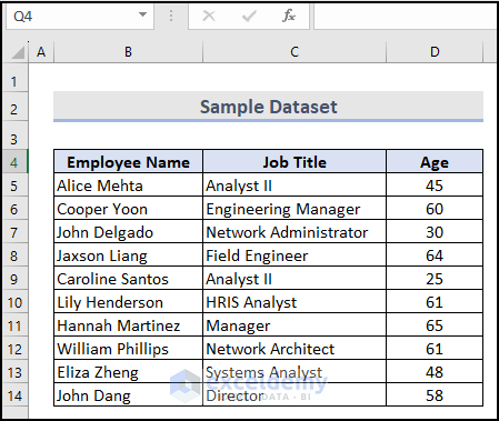 Sample Dataset to Reverse a String in Excel with VBA