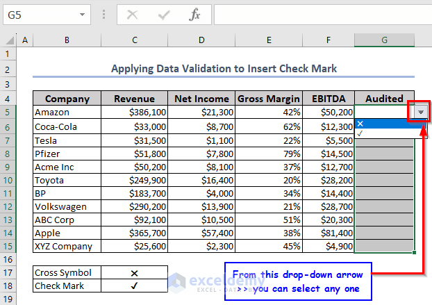 Use of Data Validation for inserting Check Marks in Excel