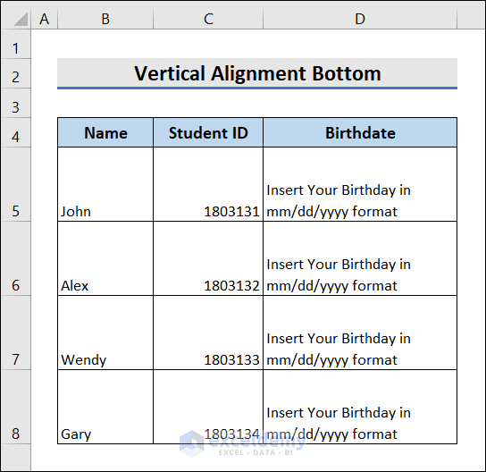 Excel VBA Vertical Alignment Bottom